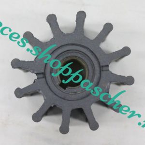 TURBINE POMPE A EAU JABSCO