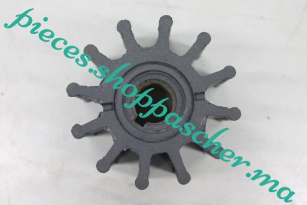 TURBINE POMPE A EAU JABSCO
