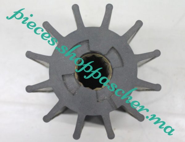 TURBINE POMPE A EAU JABSCO _UK