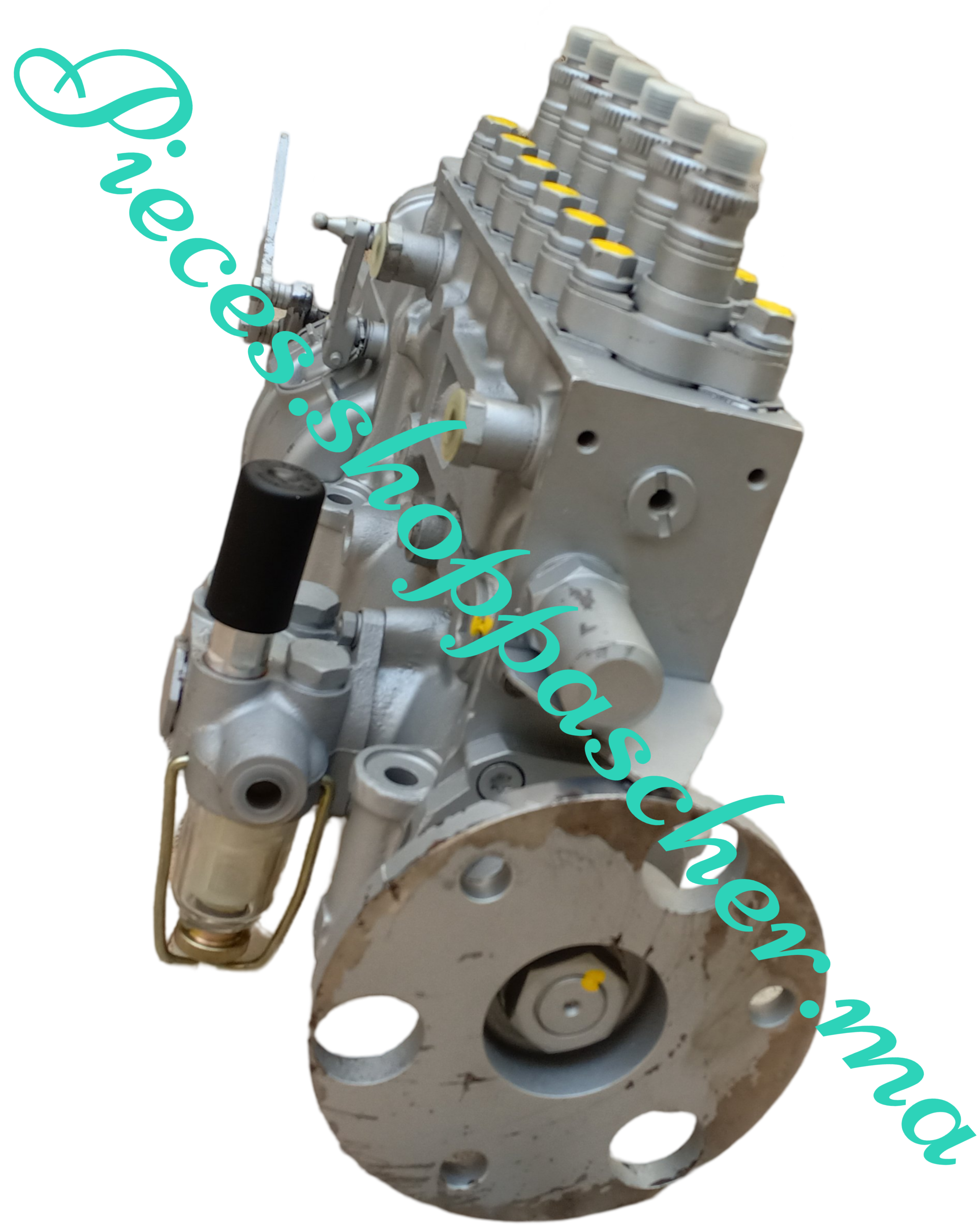 Pompe d'injection guascor F180-360