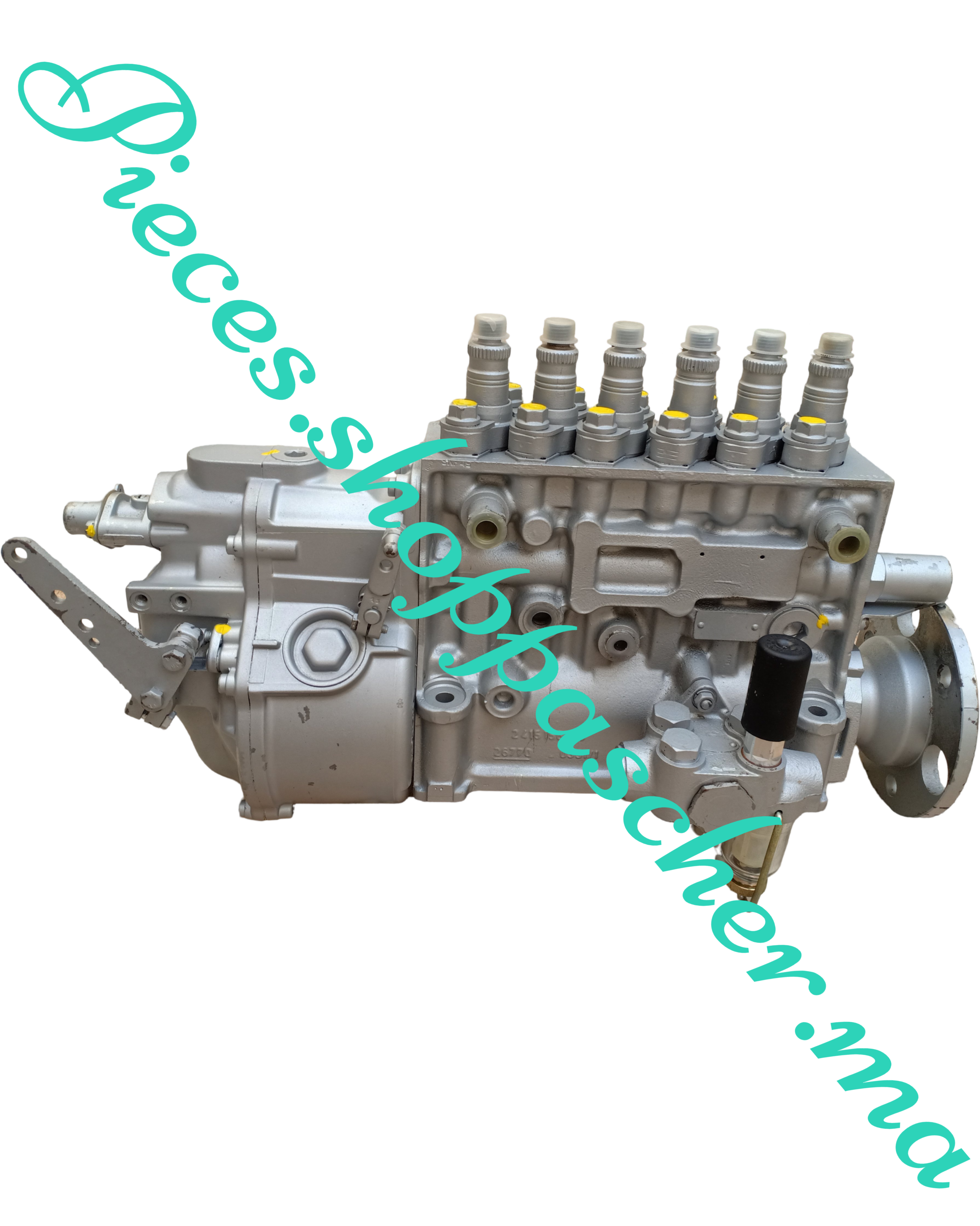 Pompe d'injection guascor F180-360