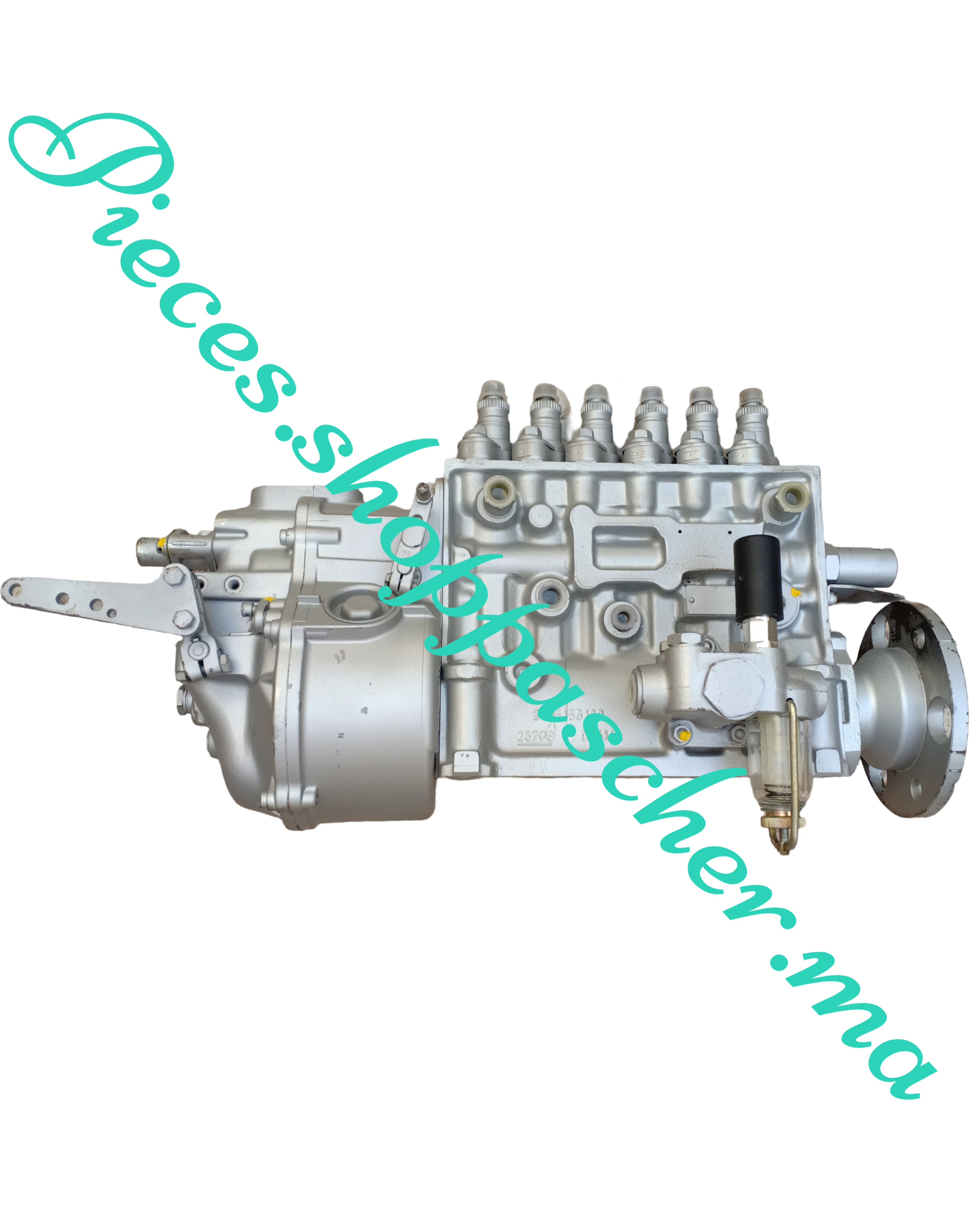 Pompe d'injection guascor F180-360