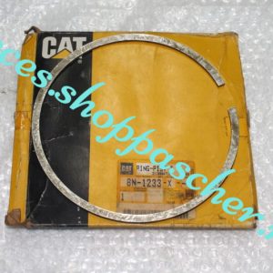SEGMENT RING-PIST CAT